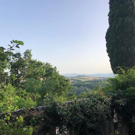 Отель Il Borgo Di Olive Sismano Экстерьер фото