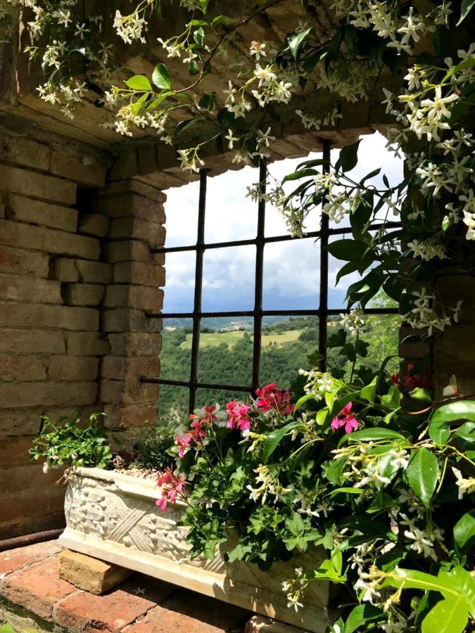 Отель Il Borgo Di Olive Sismano Экстерьер фото