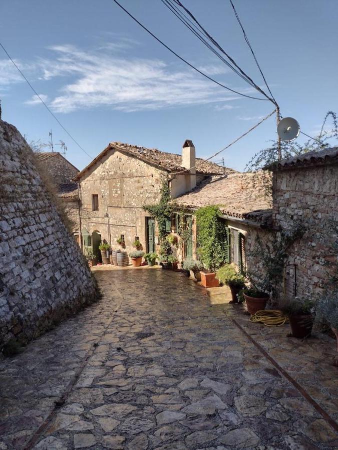Отель Il Borgo Di Olive Sismano Экстерьер фото