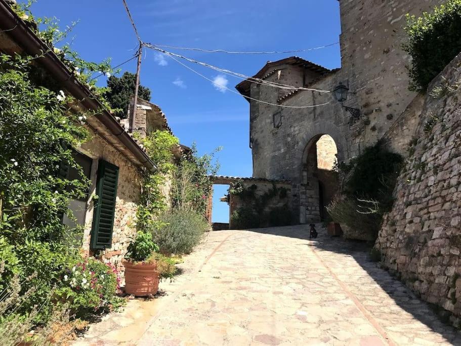 Отель Il Borgo Di Olive Sismano Экстерьер фото