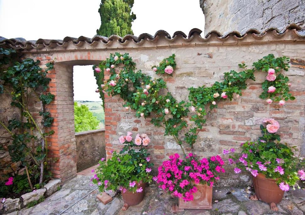 Отель Il Borgo Di Olive Sismano Экстерьер фото