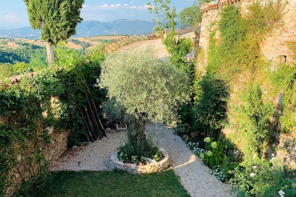 Отель Il Borgo Di Olive Sismano Экстерьер фото
