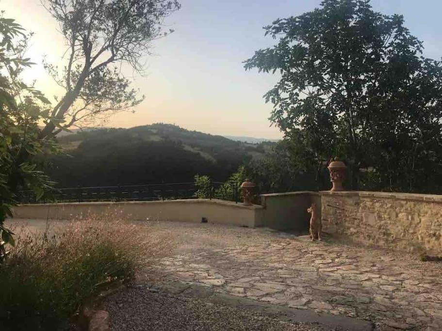 Отель Il Borgo Di Olive Sismano Экстерьер фото