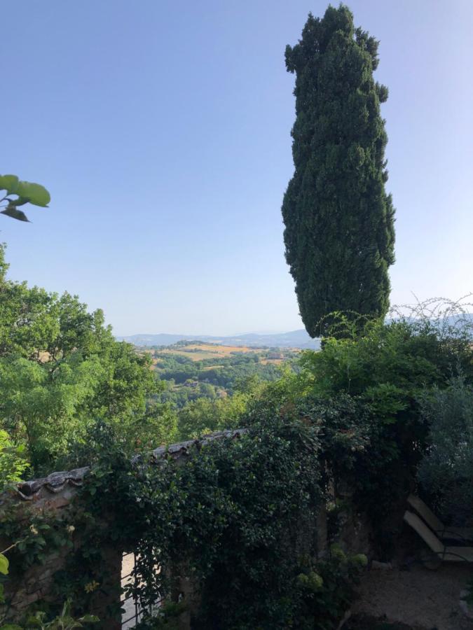 Отель Il Borgo Di Olive Sismano Экстерьер фото