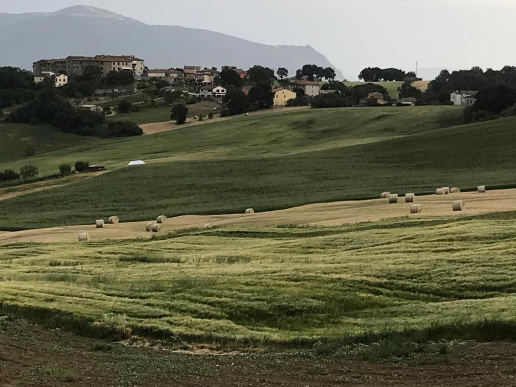 Отель Il Borgo Di Olive Sismano Экстерьер фото