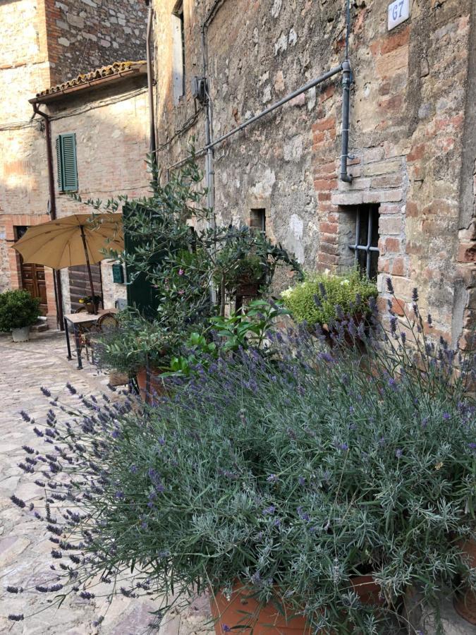 Отель Il Borgo Di Olive Sismano Экстерьер фото