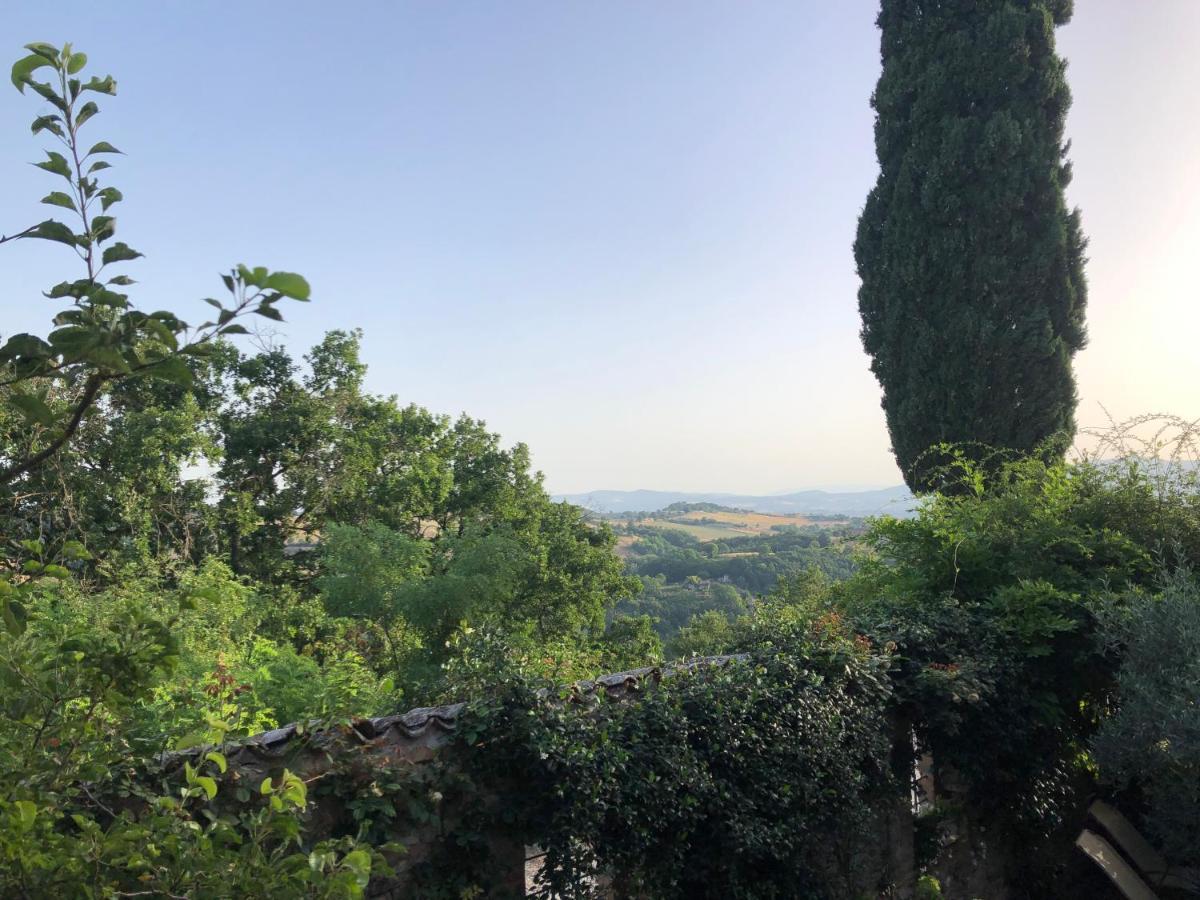Отель Il Borgo Di Olive Sismano Экстерьер фото