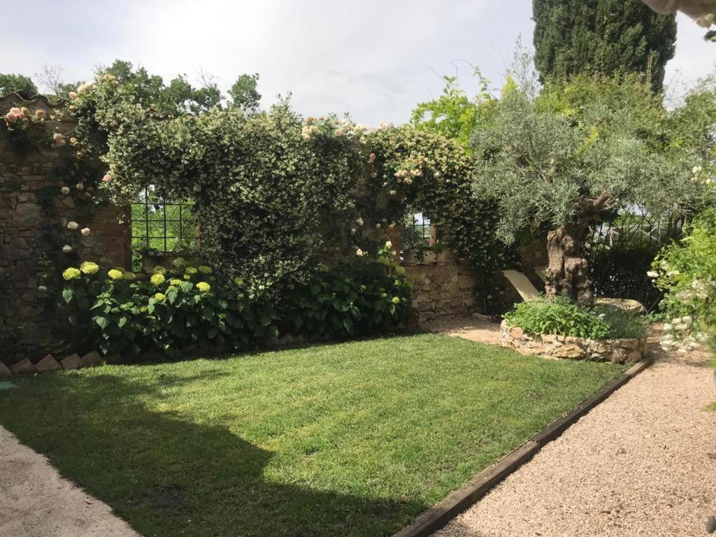 Отель Il Borgo Di Olive Sismano Экстерьер фото