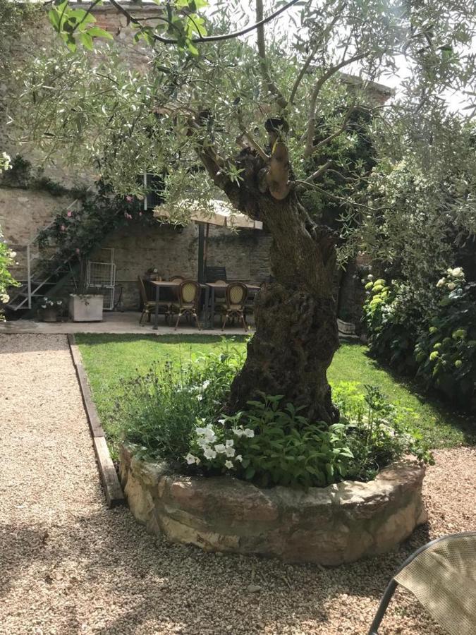 Отель Il Borgo Di Olive Sismano Экстерьер фото