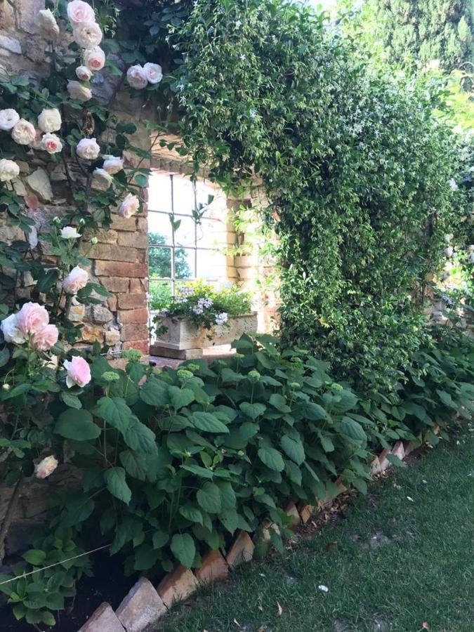 Отель Il Borgo Di Olive Sismano Экстерьер фото